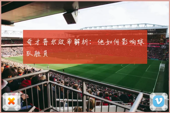 奇才普尔效率解析：他如何影响球队胜负