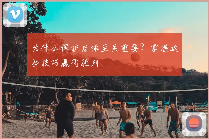 为什么保护后排至关重要?掌握这些技巧赢得胜利